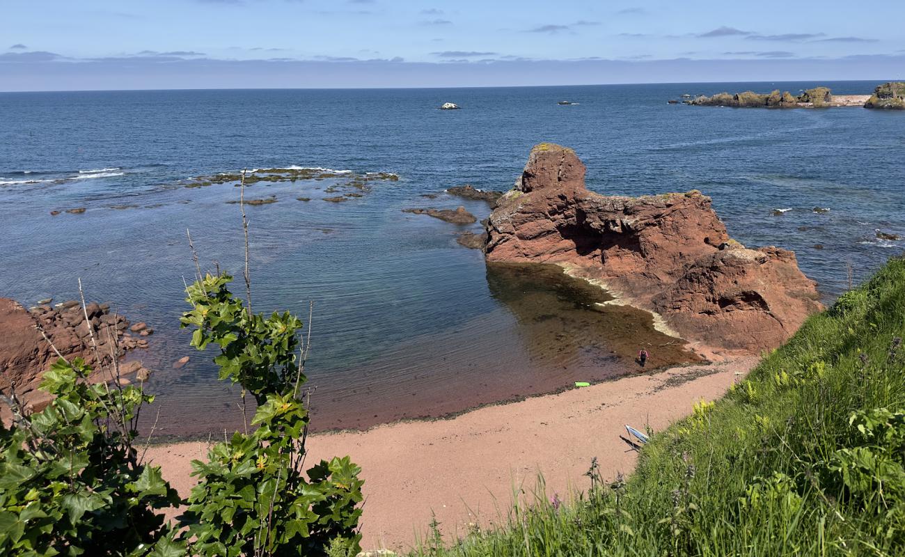 Dunbar Beach Access Path'in fotoğrafı kayalık arazi yüzey ile