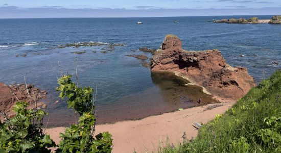 Dunbar Beach Access Path