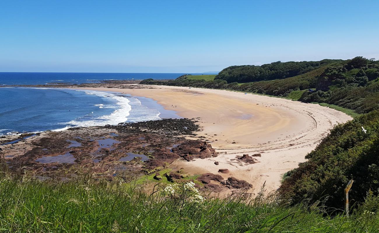 Seacliff Beach'in fotoğrafı parlak kum yüzey ile