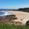 Seacliff Beach