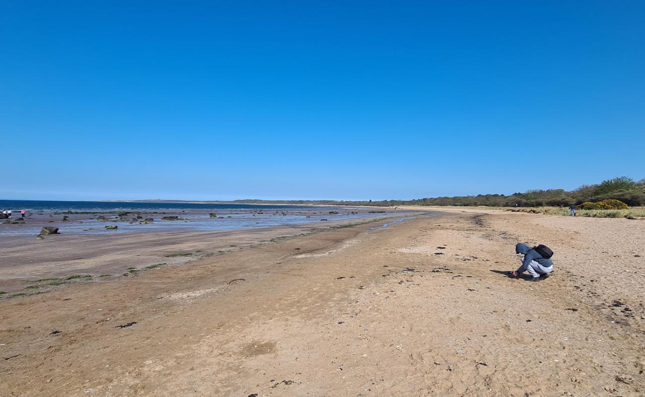Seton Sands Beach'in fotoğrafı açık bej kum yüzey ile