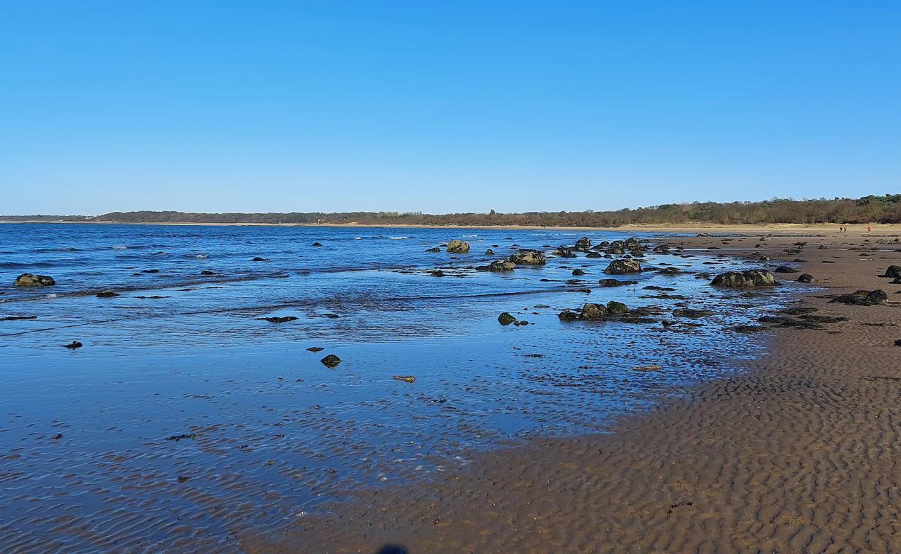 Seton Sands Beach'in fotoğrafı açık bej kum yüzey ile