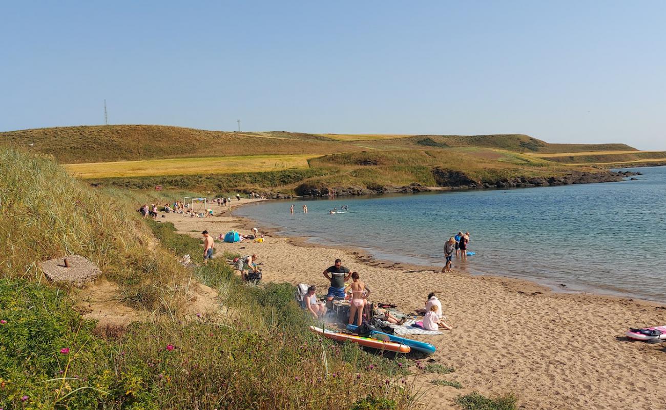Elie Holiday Park Beach'in fotoğrafı açık bej kum yüzey ile
