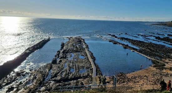 Pittenweem Tidal Pool Beach