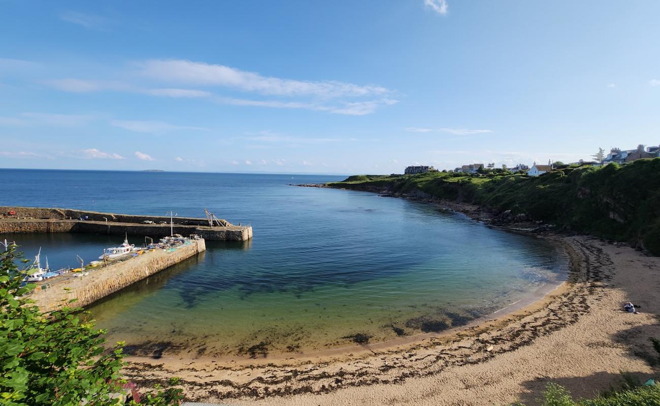 Crail Beach Fossils Beach'in fotoğrafı açık bej kum yüzey ile