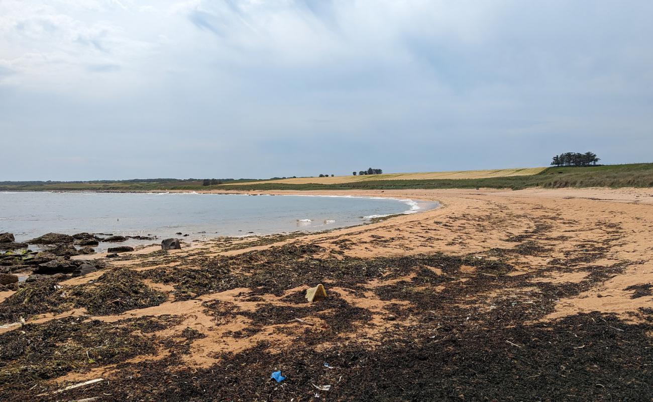 Red Beach'in fotoğrafı açık bej kum yüzey ile