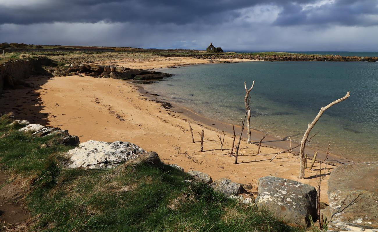 Johnnie Bay'in fotoğrafı açık bej kum yüzey ile
