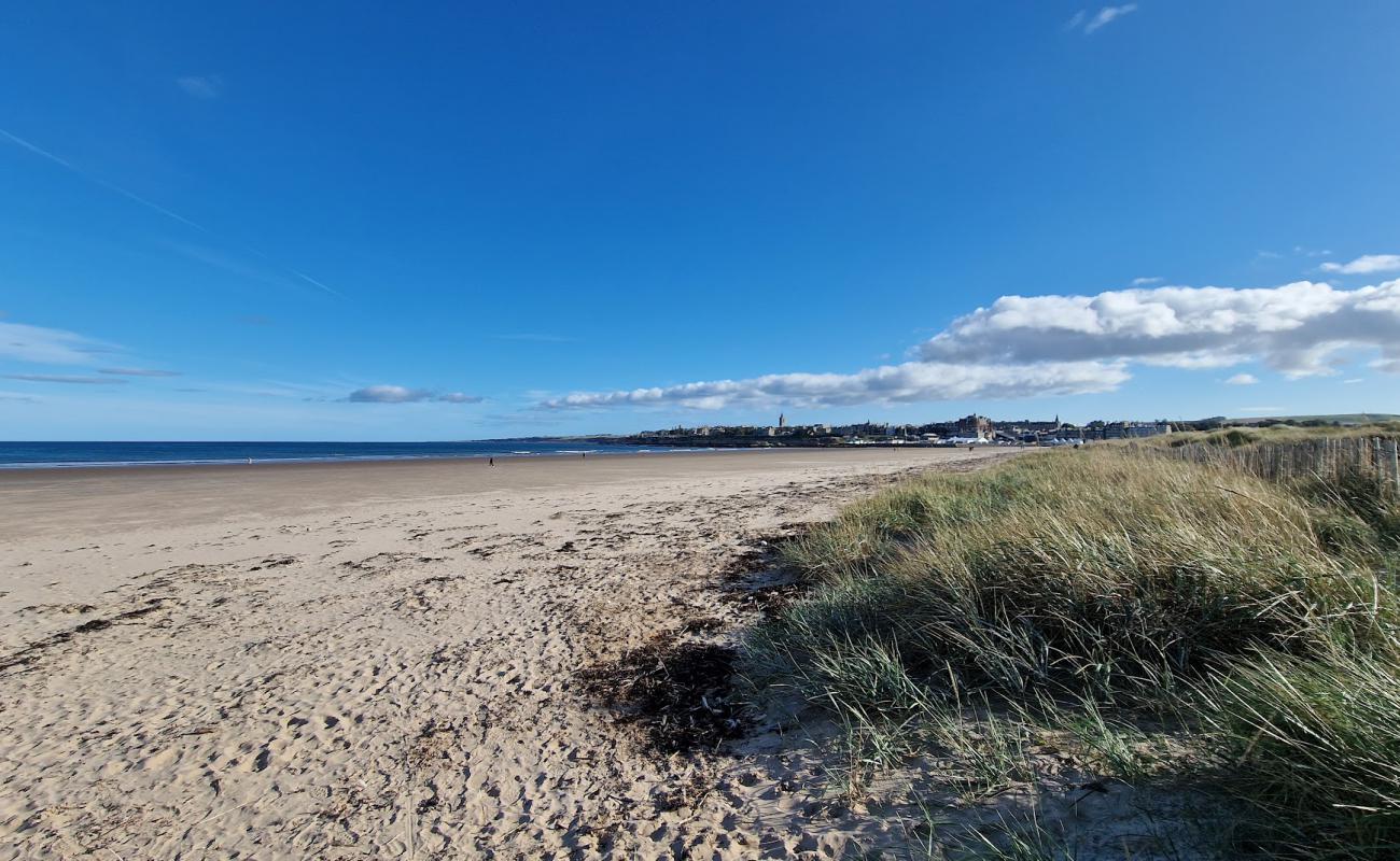 West Sands Beach'in fotoğrafı açık bej kum yüzey ile