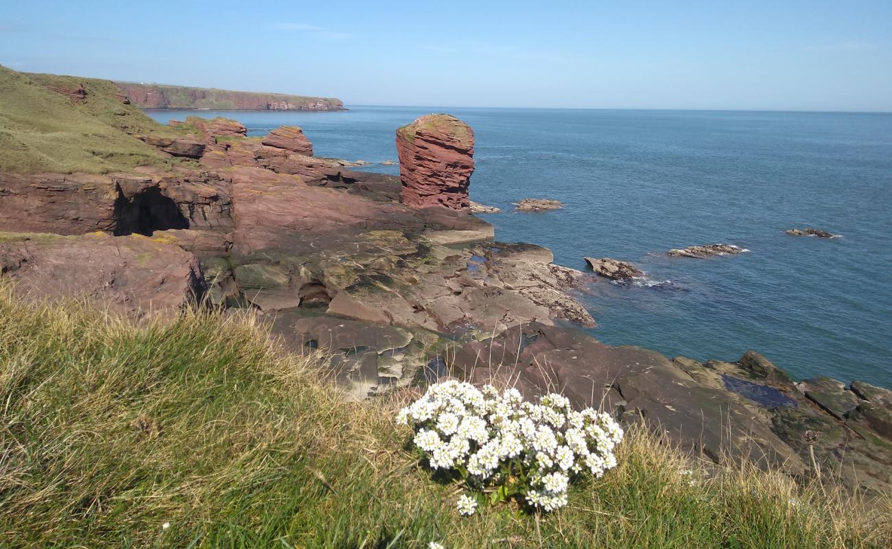 Seaton Cliffs Beach'in fotoğrafı kayalık arazi yüzey ile
