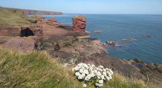 Seaton Cliffs Beach