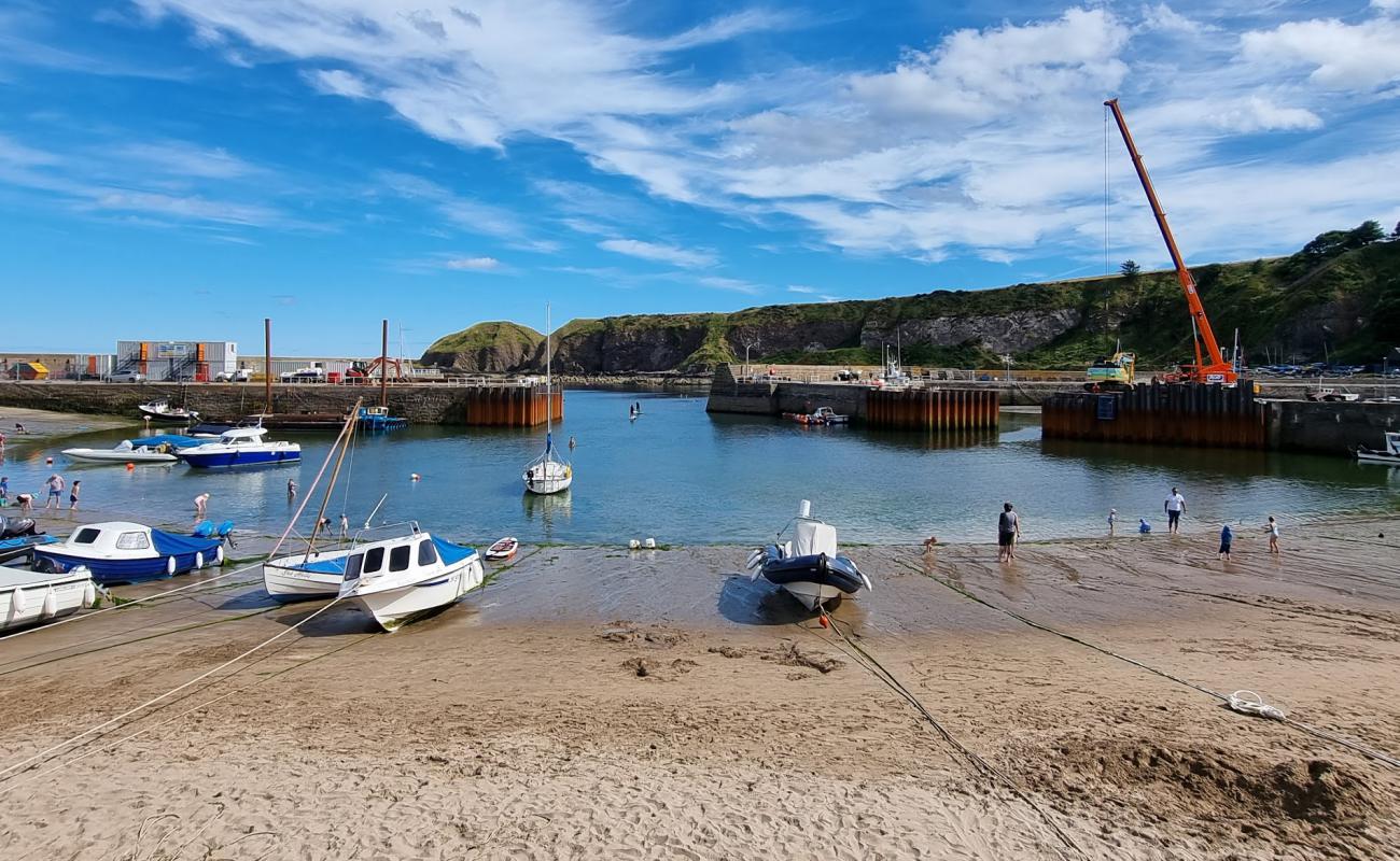 Stonehaven Harbour Beach'in fotoğrafı parlak kum yüzey ile