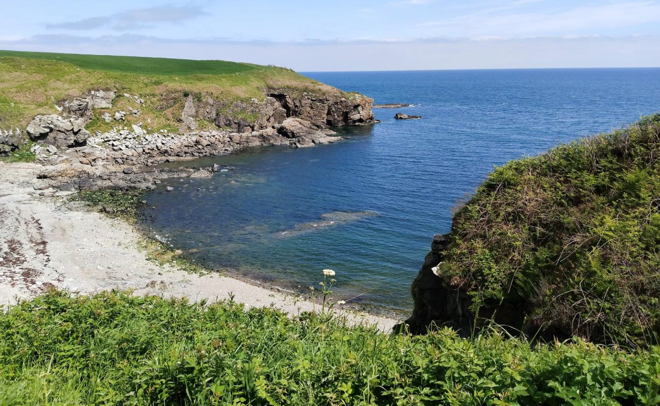 Newtonhill Beach'in fotoğrafı taşlar yüzey ile