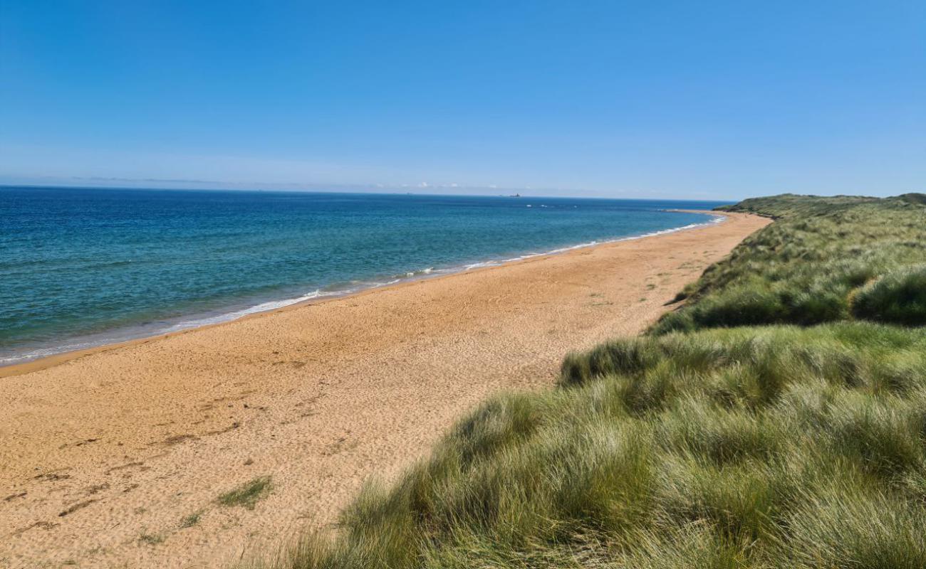 Scotstown Beach'in fotoğrafı açık bej kum yüzey ile
