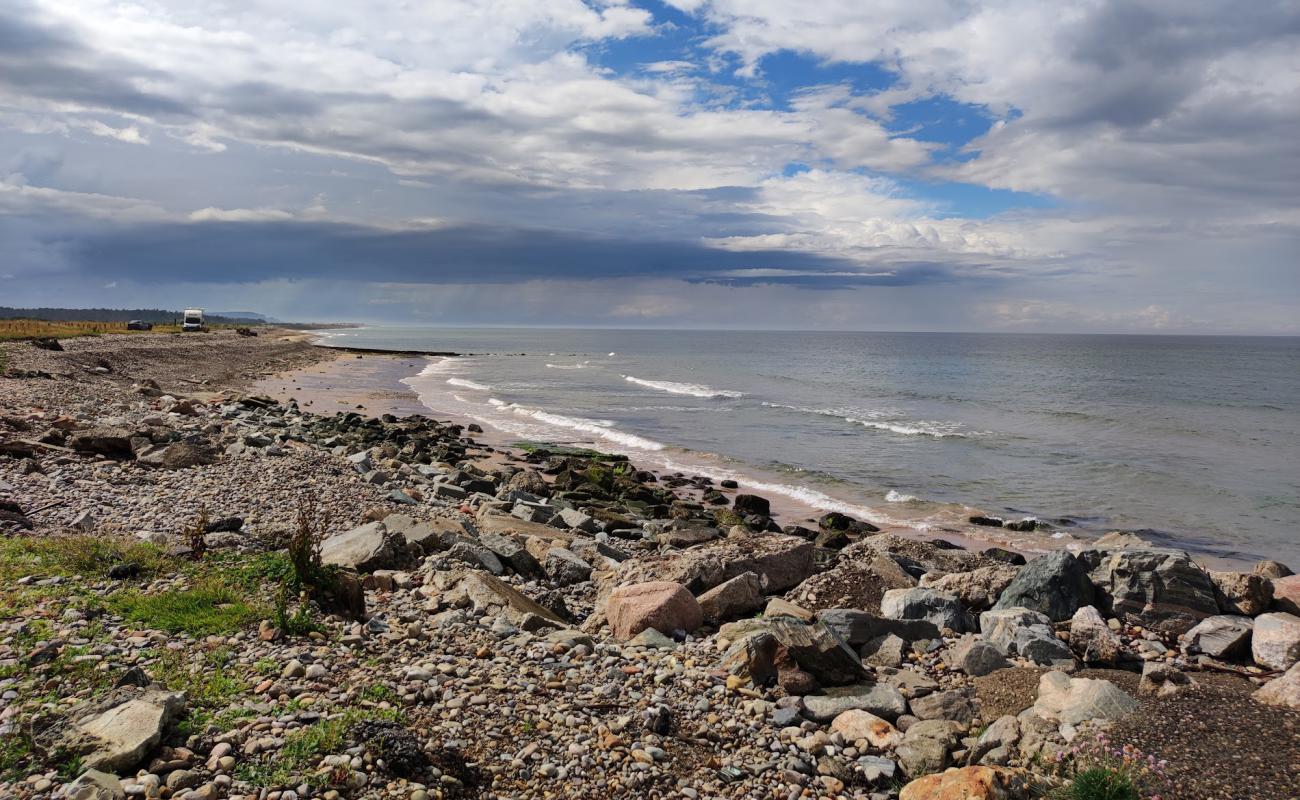Portgordon Beach'in fotoğrafı taşlı kum yüzey ile