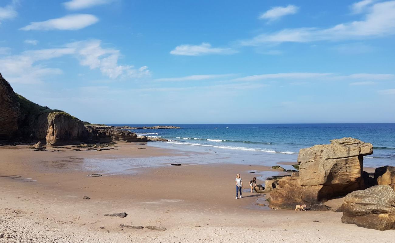 Cove Bay Beach'in fotoğrafı bej kum ve çakıl yüzey ile