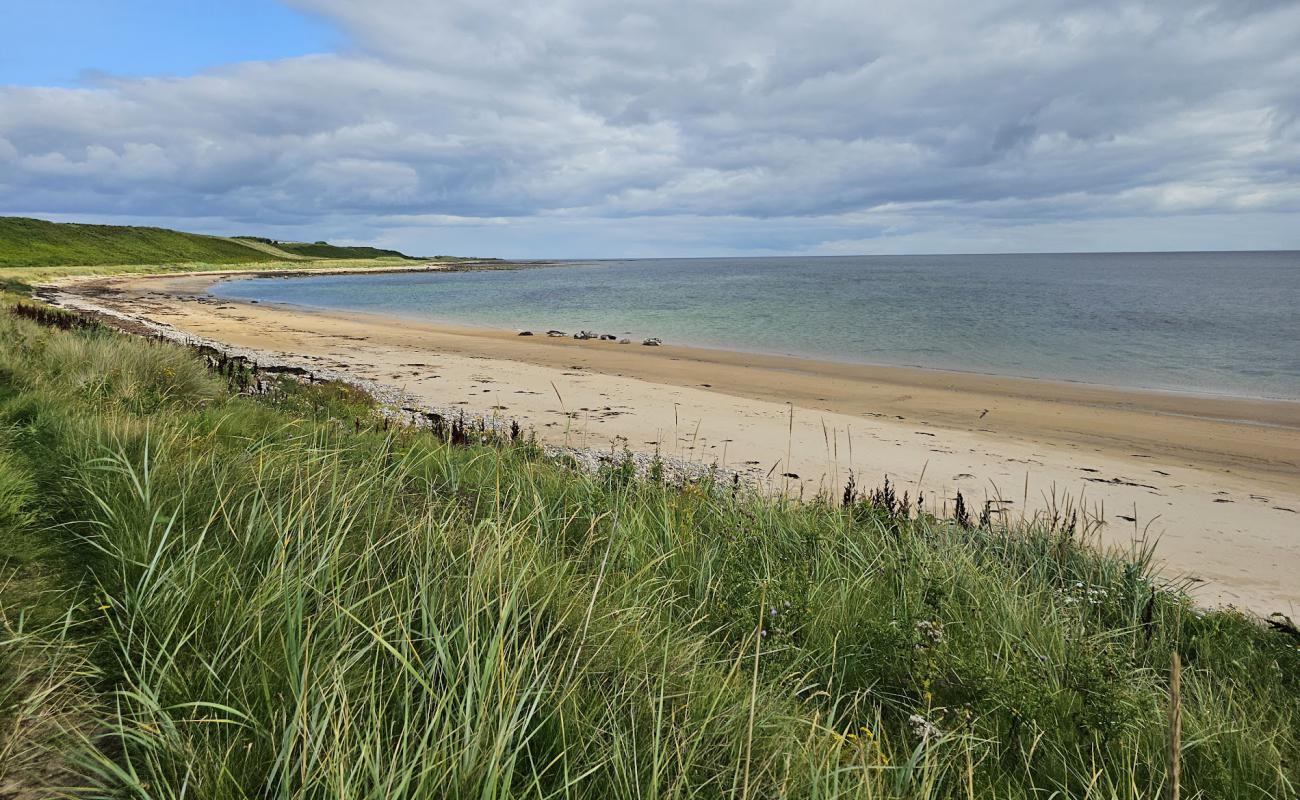 Golspie Beach'in fotoğrafı açık bej kum yüzey ile