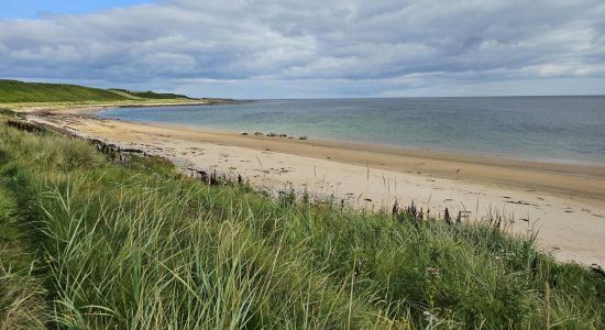 Golspie Beach