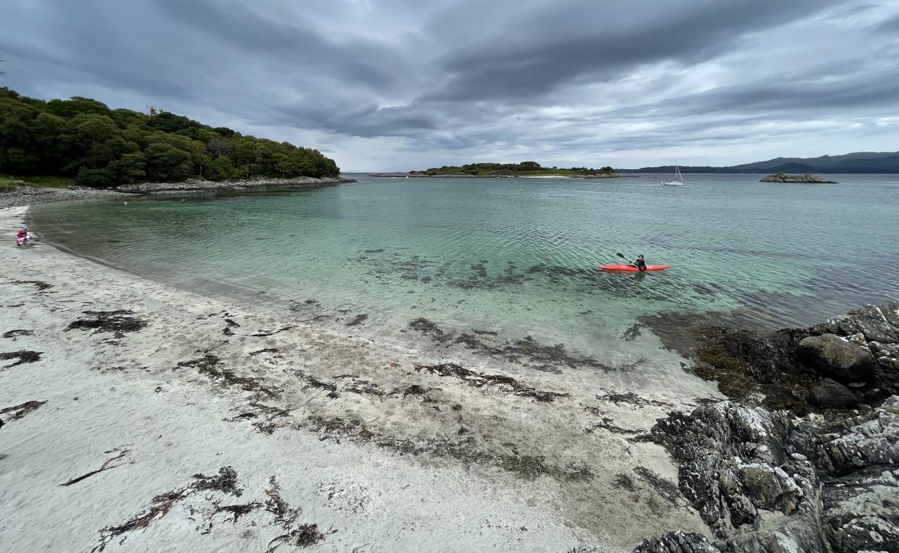 Samalaman Bay'in fotoğrafı açık bej kum yüzey ile