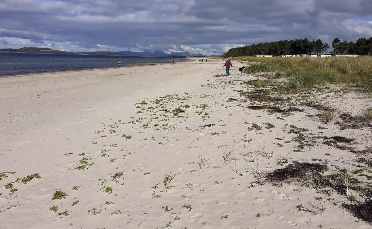 Point Sands Beach'in fotoğrafı açık bej kum yüzey ile