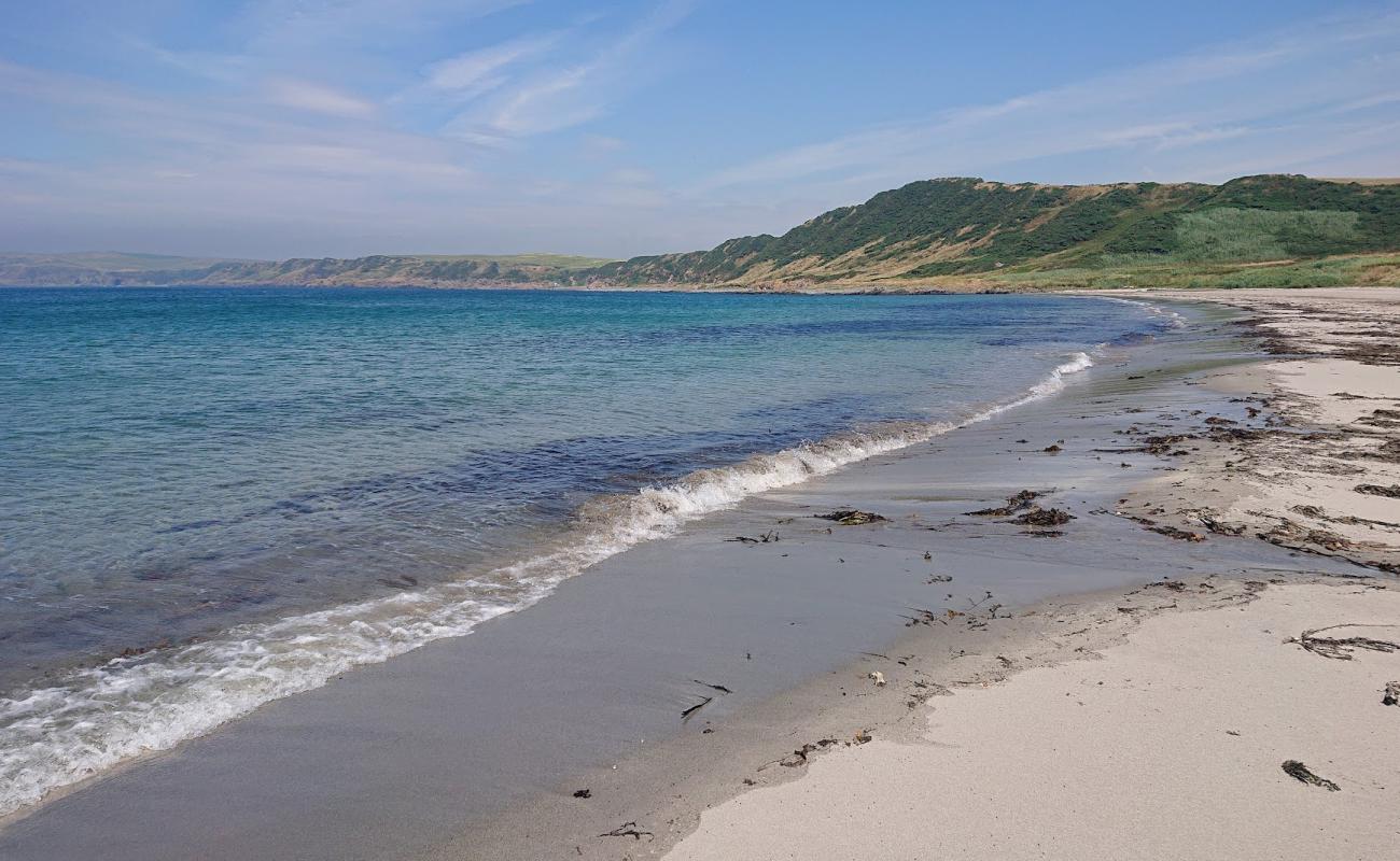 Ardwell Bay Beach'in fotoğrafı açık bej kum yüzey ile