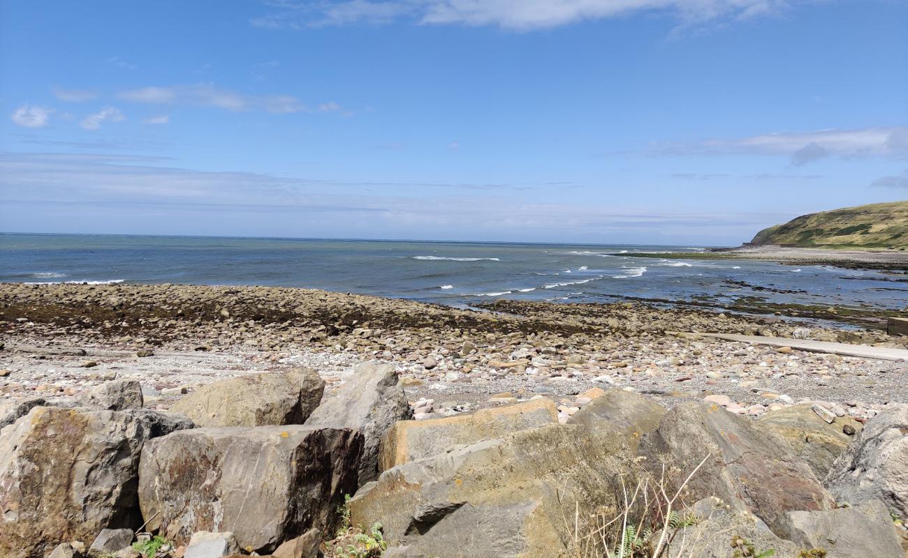 Tanyard Bay Beach'in fotoğrafı gri kum ve çakıl yüzey ile