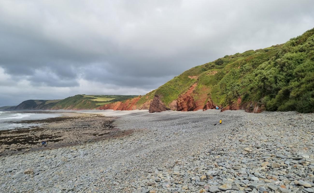 Peppercombe Plajı'in fotoğrafı gri çakıl taşı yüzey ile