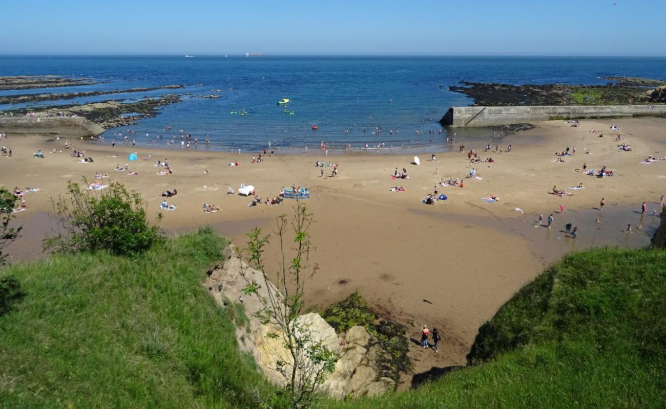 Cullercoats Plajı'in fotoğrafı parlak kum yüzey ile