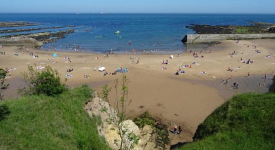 Cullercoats Plajı