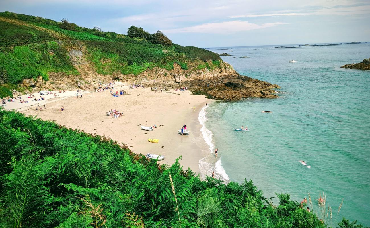 Belvoir Beach'in fotoğrafı açık bej kum yüzey ile