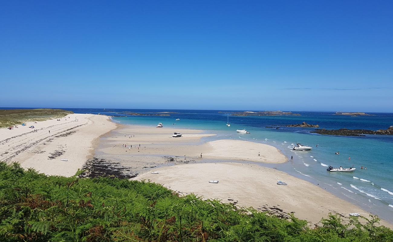 Shell Beach'in fotoğrafı parlak kum yüzey ile