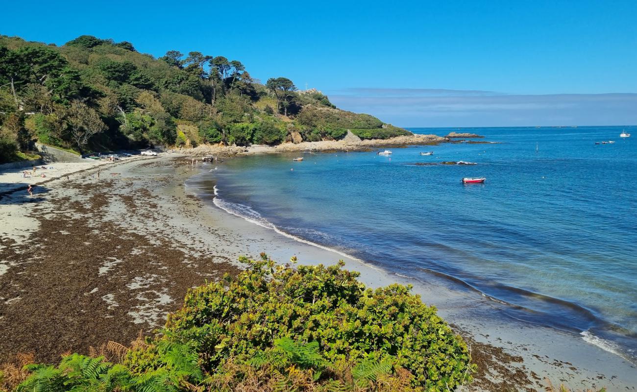 Portelet Beach Guernsey'in fotoğrafı açık bej kum yüzey ile