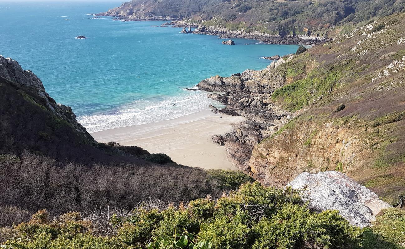 Petit Port Beach'in fotoğrafı parlak kum yüzey ile