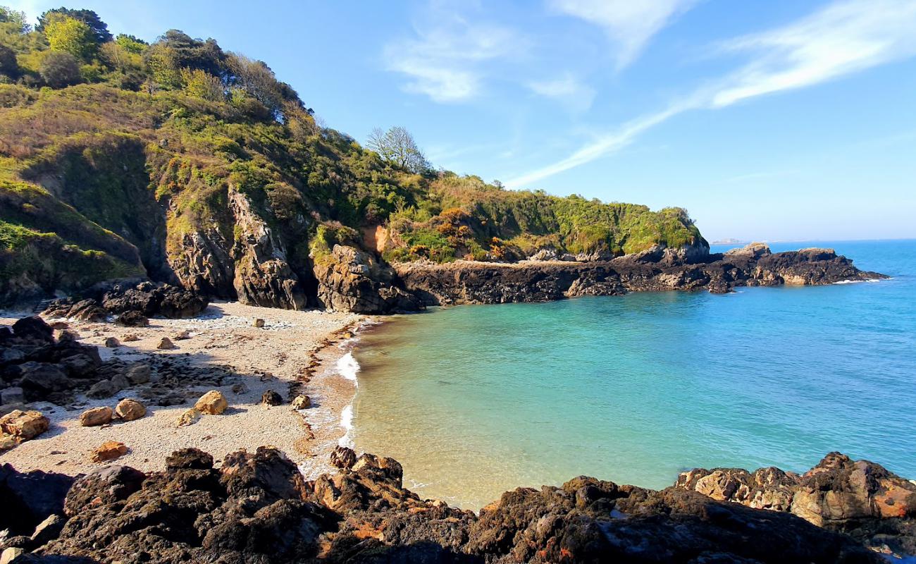 Le Pied du Mur (Marble Bay)'in fotoğrafı bej çakıl yüzey ile