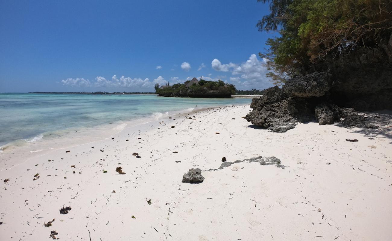 Bawe Beach'in fotoğrafı parlak ince kum yüzey ile