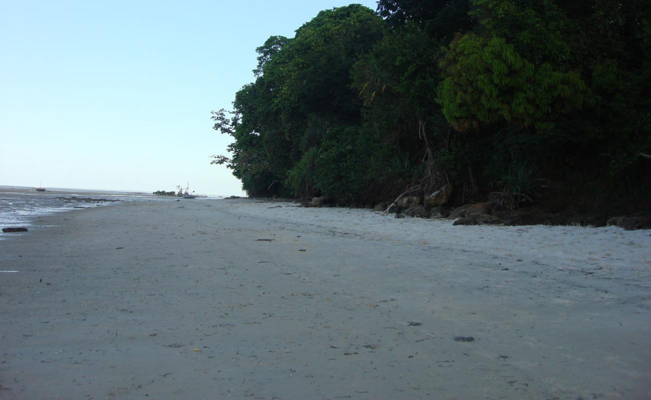 Msuka Beach'in fotoğrafı parlak kum yüzey ile