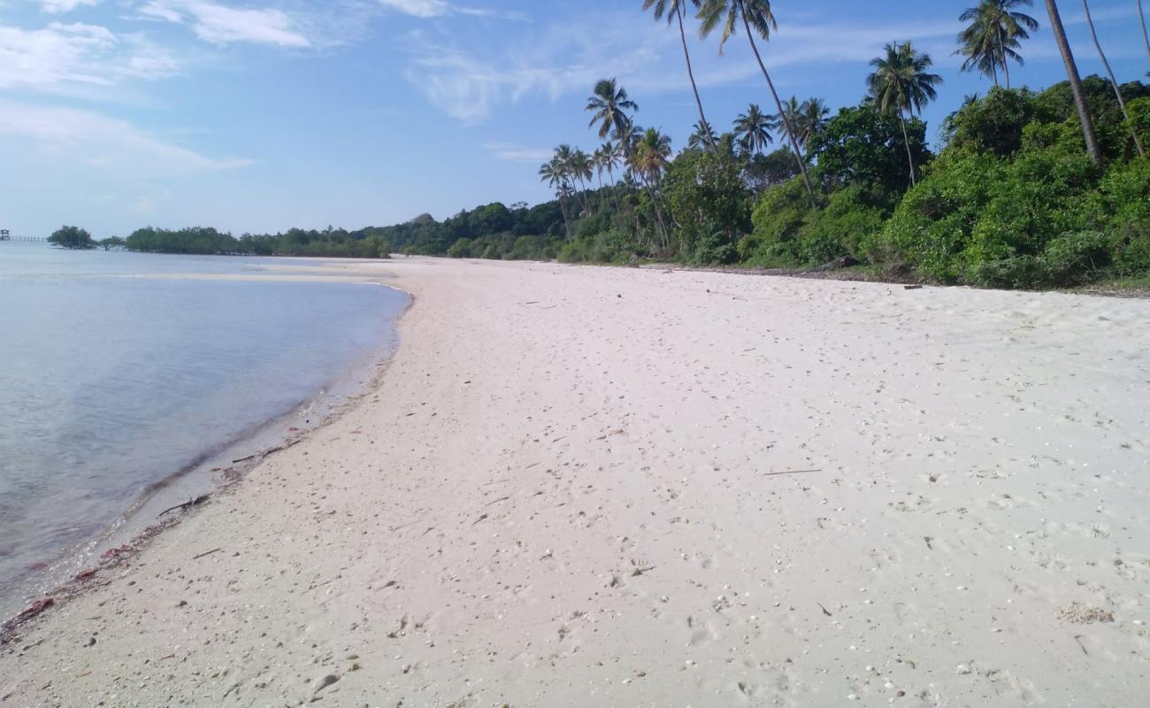 Fundu Lagoon'in fotoğrafı beyaz ince kum yüzey ile