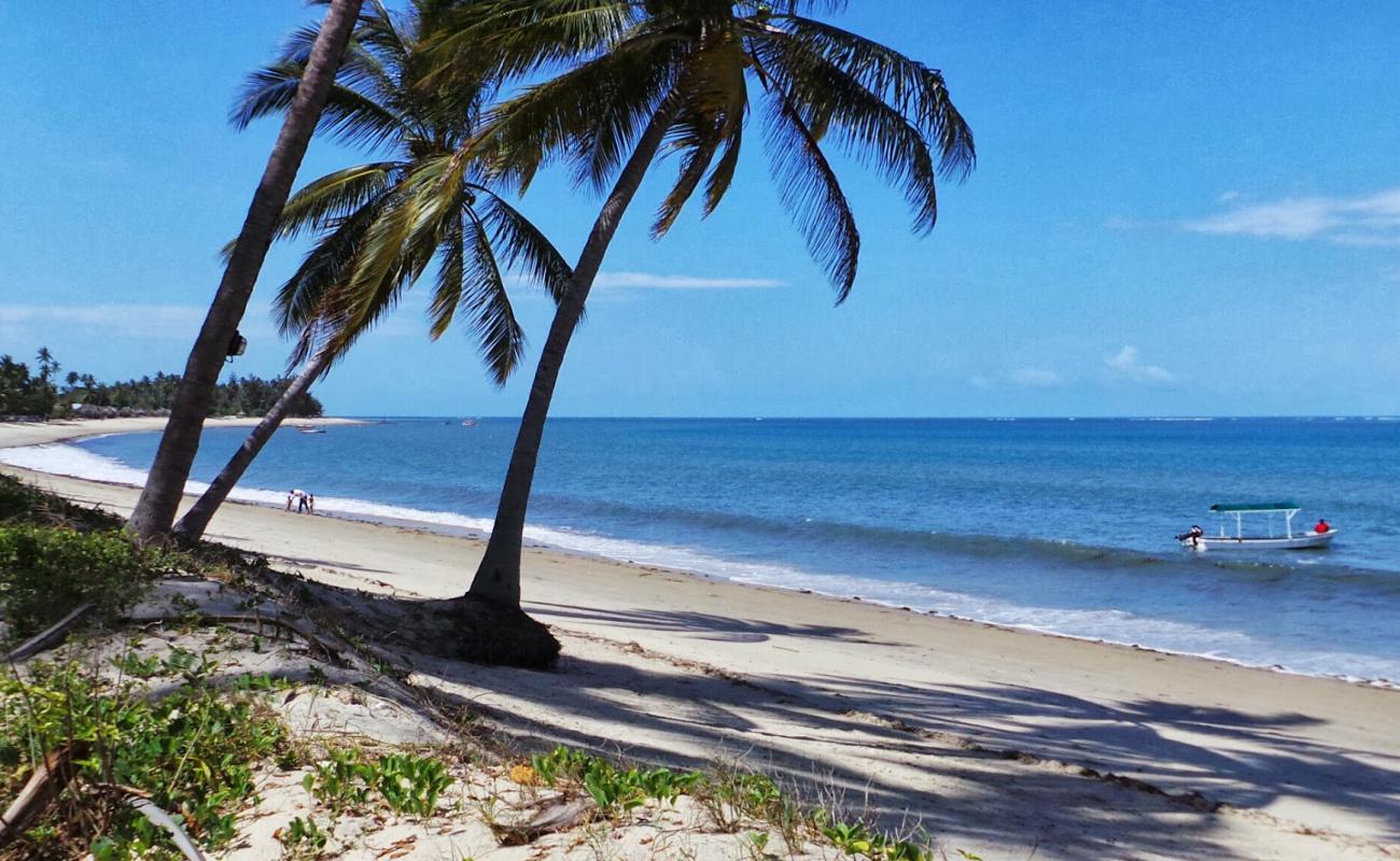 Ushongo Beach'in fotoğrafı parlak kum yüzey ile