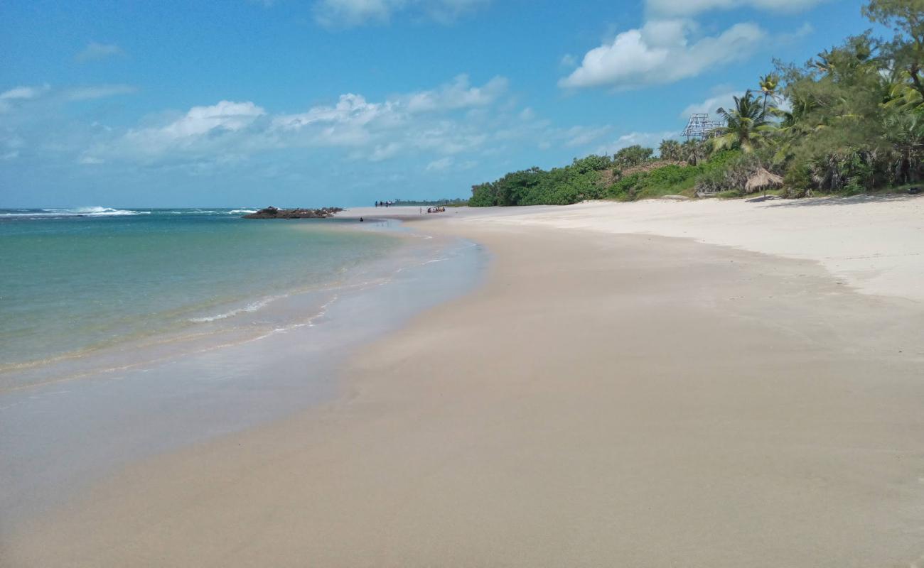 Kimbiji Beach'in fotoğrafı parlak kum yüzey ile