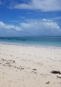 Güney ve Merkez Zanzibar Bölgesi