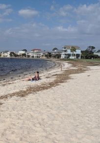 Live Oak Island