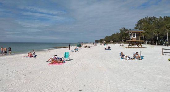 Coquina beach