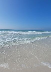 Sarasota ilçesi