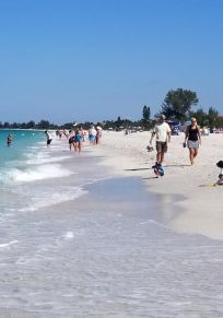 Sarasota ilçesi