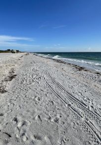 Cayo Costa