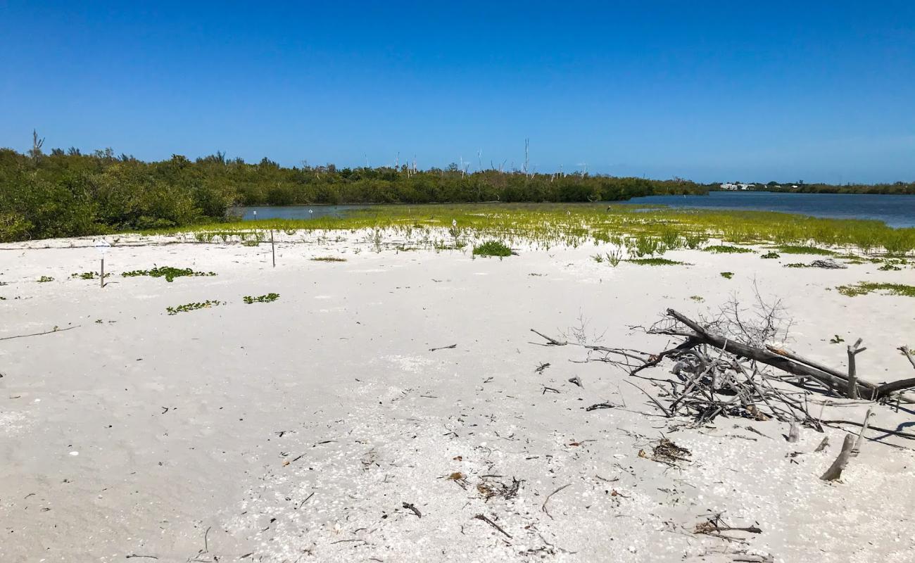 Silver Key beach'in fotoğrafı bej kabuklu kum yüzey ile