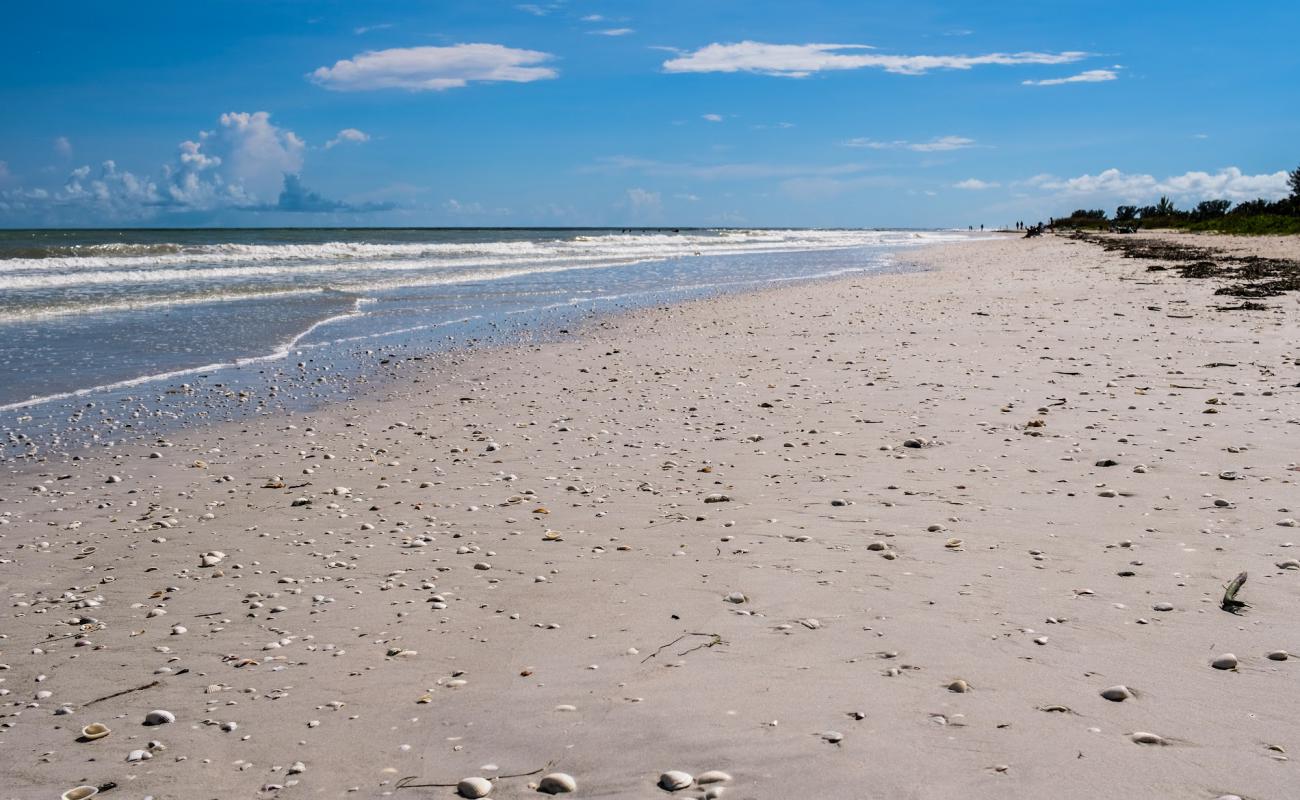 Sanibel Island North'in fotoğrafı bej kum ve çakıl yüzey ile
