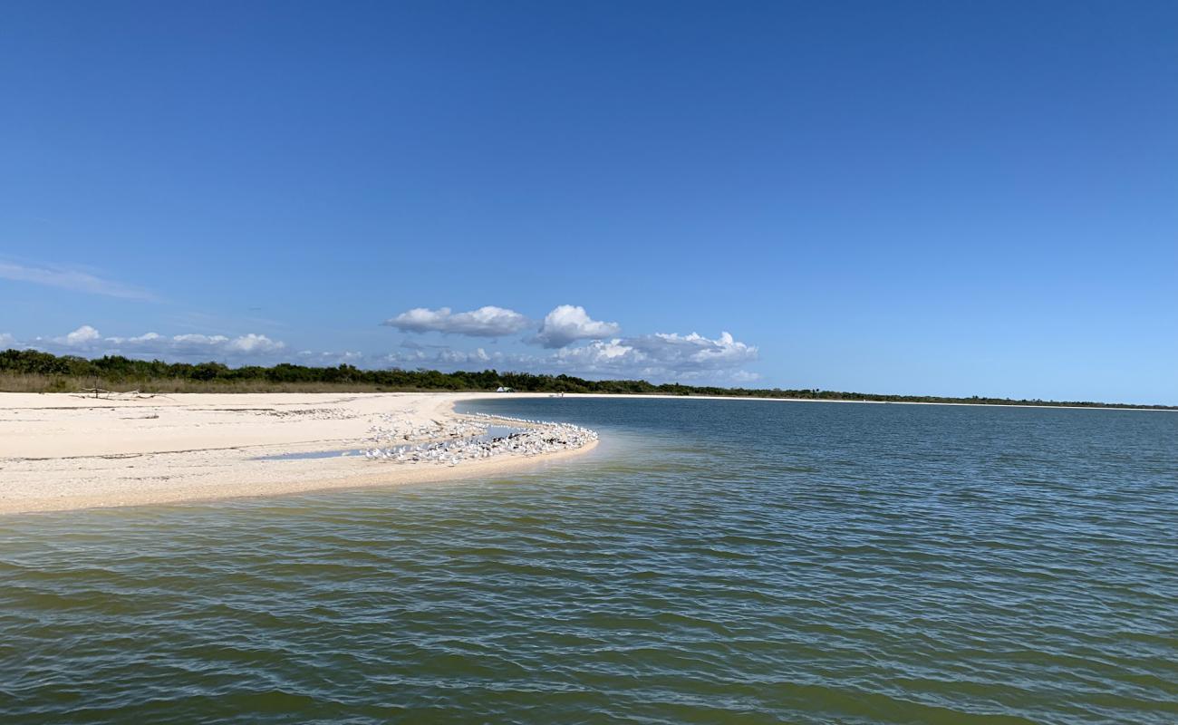 Middle Cape beach'in fotoğrafı bej kum ve çakıl yüzey ile