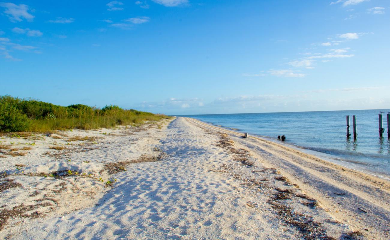 East Cape beach'in fotoğrafı açık bej kum yüzey ile