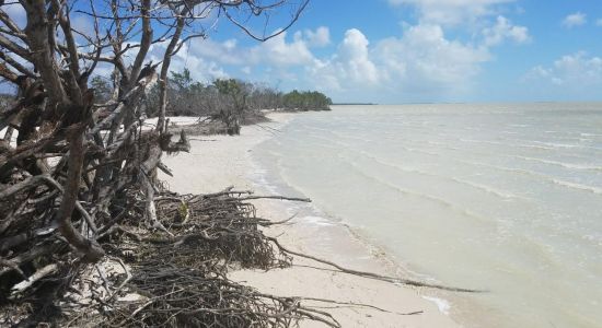 Clubhouse beach