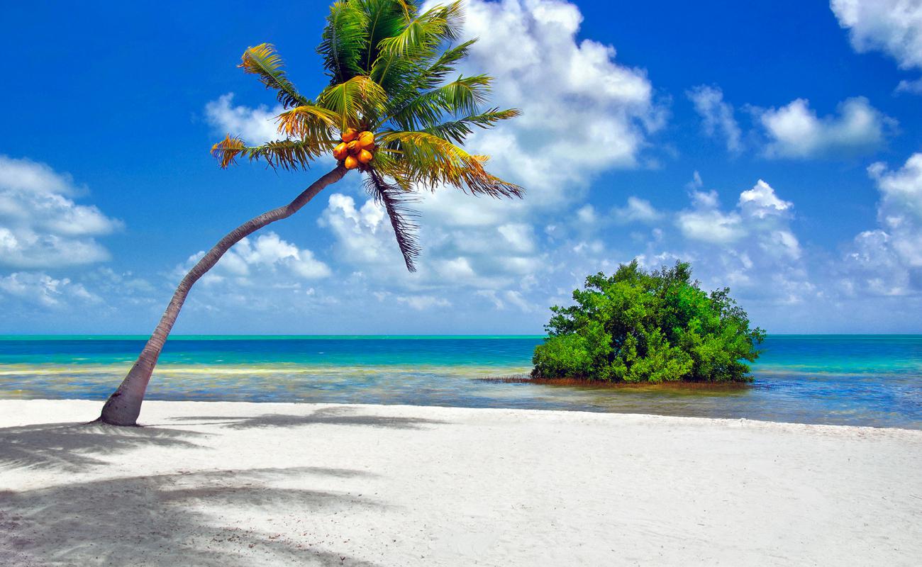 The Moorings beach'in fotoğrafı açık bej kum yüzey ile